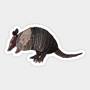 Armadillo by Morning Sticker